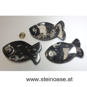 Fisch / Schale aus Fossilien-Marmor 12cm